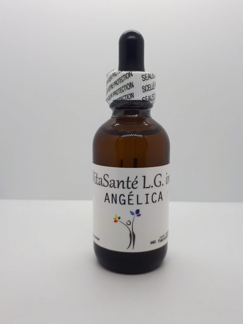 ANGELICA SINENSIS
