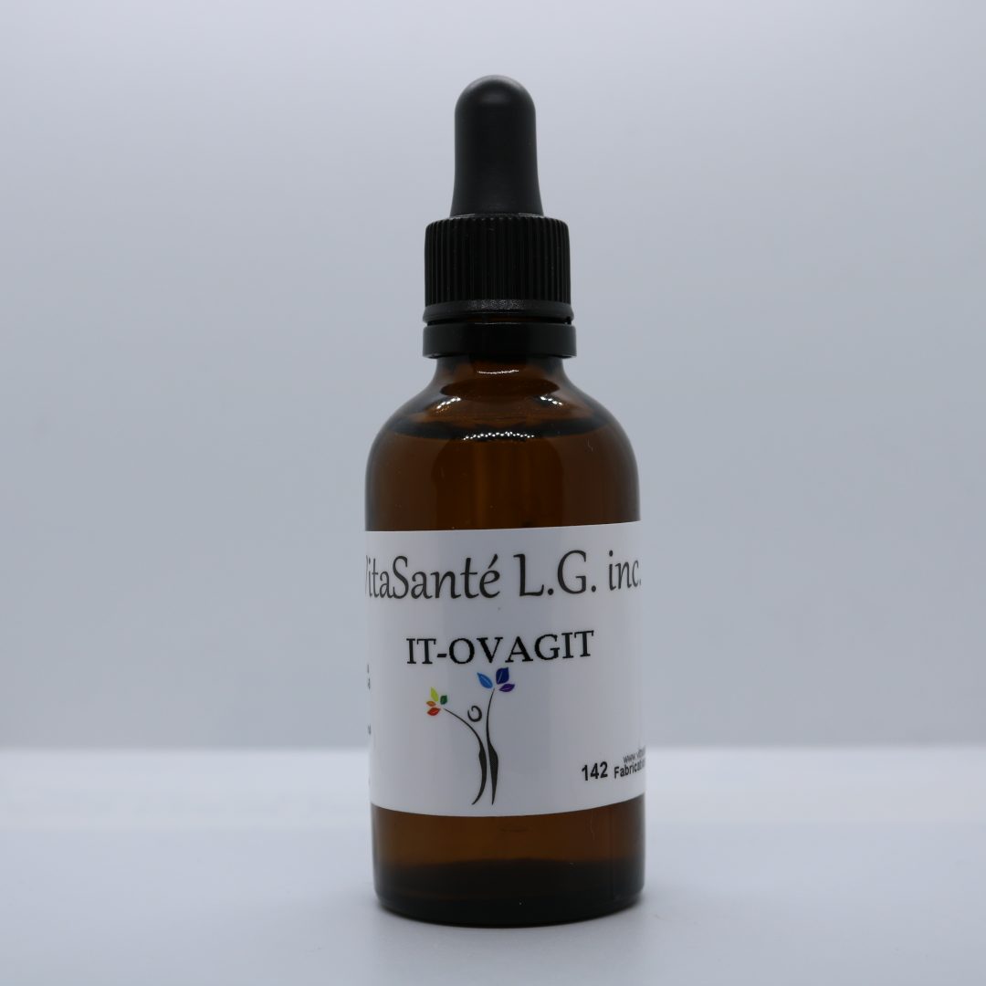 IT-OVAGIT